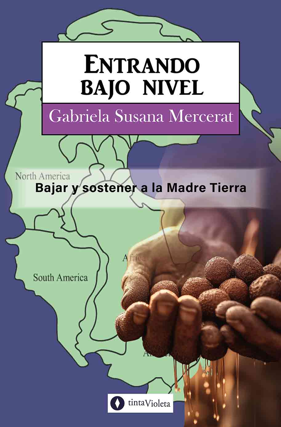 E-book Entrando bajo nivel de Gabriela Susana Mercerat