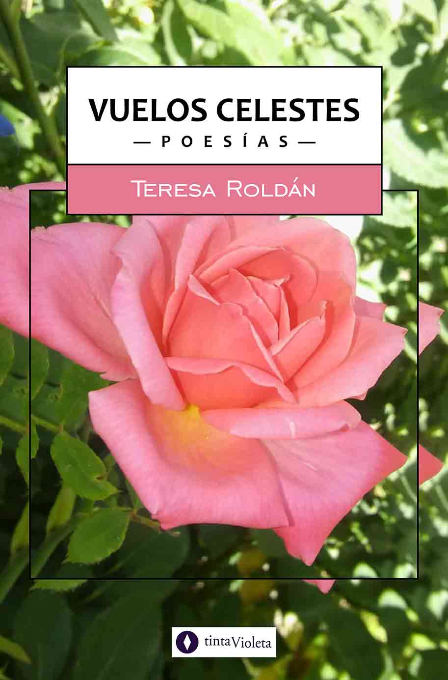 E-book Vuelos celestes de Teresa Roldán